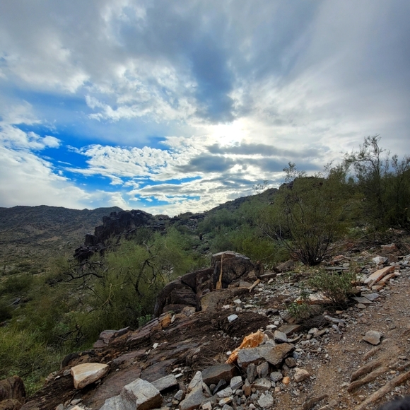 Clothes , bags and much more - Picture 1 of 1